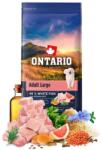 ONTARIO Adult Large Fish & Brown Rice 12 kg - abc-zoo