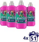Coccolino Snapdragon & Patchouli öblítőkoncentrátum 4x1275 ml (204 mosás)