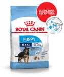 Royal Canin Shn Maxi Puppy 15 kg 131310 (05078) (05078)