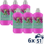 Coccolino Snapdragon & Patchouli öblítőkoncentrátum 6x1275 ml (306 mosás) + AJÁNDÉK szárítókendő