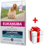 EUKANUBA Eukanuba Adult Cocker Spaniel 7, 5 kg + INGYENES meglepetés ajándék kutyájának!