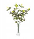 MartineX Műág Eukaliptusz Csokor nád kompozíció dekoráció U35-02 (GAŁAZKA eukaliptus u35-02)