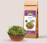 Oázis Lucerna csíramag