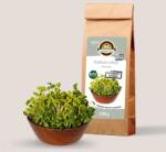 Oázis Retek Daikon csíramag