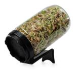 Oázis Csíráztató üvegedény (fekete)