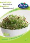 Rédei kertimag Bio Zsázsamag csíráztatásra D