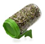 Oázis Csíráztató üvegedény (zöld)