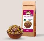 Oázis Retek színkavalkád mix csíramag