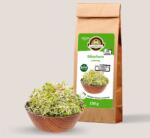 Oázis Bíborhere csíramag