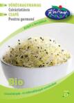 Rédei kertimag Bio Vöröshagymamag csíráztatásra D