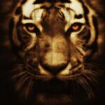 Kerma Design KERMA-25 nyomtatott műbőr falikép