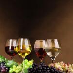  Soner törés- és hőálló konyhai hátfal borászat mintában 60x240 cm KF19