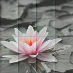 Kerma Design Tavirózsa KERMA-48 nyomtatott műbőr falikép