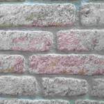 Stikwall falburkolat TERMÉKMINTA/ MINTADARAB 651-209