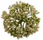  Fokhagyma Fej Apró Teljes Nagy Adalék Művirág Töltőanyag 9 cm (Czosnek)