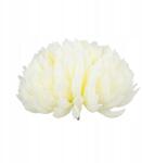 MartineX Krizantém Termék Fej Művirág Krizantém (XX)