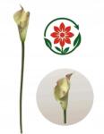MartineX Calla Kalla Calia Kalia Gumi 74cm szár műcsali (Calla) - allegro - 740 Ft