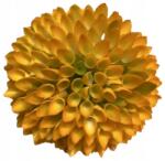  Fokhagyma Dekoráció Teljes Nagy Kiegészítő Művirág Töltőanyag 9 cm fej (Czosnek) - allegro - 295 Ft