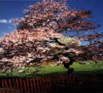 A Reminiscent Drive Mercy Street