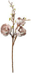 Clayre & Eef Magnolie artificiala bej maro 20x20x106 cm (5PL0169W)