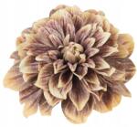  Dália Termék Fej Ón Virág Mesterséges Nád Kompozíció (xx) - allegro - 350 Ft