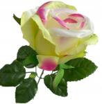  Rózsák Rügyek művirágok Virág művirág fej rózsa (RÓŻA WYSOKOGATUNKOWA)