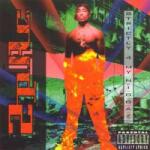 Jive CD 2Pac: Strictly 4 My N. I. G. G. A. Z