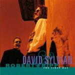 Discipline Global Mobile CD David Sylvian & Robert Fripp: The First Day