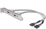 ASSMANN USB Slot Bracket cable, 2x type A-2x5pin IDC AK-300301-002-E (AK-300301-002-E)