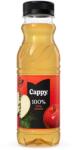 Cappy alma 0, 33l DRS PET egyutas visszaváltási díjas palackos gyümölcslé (983327)