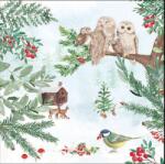 AMBIENTE Szalvéta 33x33cm 20db/csomag Winter outdoor, Kinti Tél