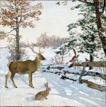 AMBIENTE Szalvéta 33x33cm 20db/csomag Winter evneink talk, Téli esték