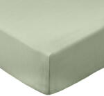 Bianca Зелен еластичен чаршаф от памук перкал 90x190 cm Cotton Percale - Bianca (BD/52521/R/SFDX/SA)