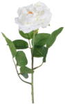 Ixia Изкуствено цвете (височина 43 cm) Rose - Ixia (604052)