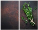 Allstar Капаци за печки от закалено стъкло в комплект от 2 броя 52x30 cm Rosemary - Allstar (53871100)