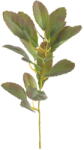Ixia Изкуствена клонка (височина 37 cm) Lemon Tree - Ixia (602107)