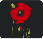 Maximex Капак за стена на готварска печка от закалено стъкло 50x56 cm Poppy - Maximex (2712905500)