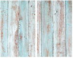 Allstar Капаци за печки от закалено стъкло в комплект от 2 броя 52x30 cm Blue Wood - Allstar (53867100)