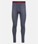 Thermowave Colanți funcționali pentru bărbați Merino ACTIVE Thermowave, gri mărimi îmbrăcăminte M (7-02018-M)