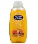 Neutro Roberts Sampon Gél 2 In 1 250ML JW550 b93 (8002410009644)
