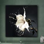 Schuller Valencia Tablou decorativ, imagine imprimata pe sticla calita Splash 100x100cm SV-719360 (SV-719360)