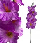  Kard Csokor Kard Művirág Váza 55cm pikk-pakk (Mieczyk)