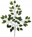  Műlevél Benjámin Fikusz Váll Ág zöld nád 63cm Gumírozott (#3)