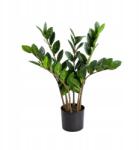 Homla Műnövény Botanic zamiokulkas 45 cm Homla (240296)