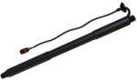 MTR Amortizor portbagaj MTR 12208925 (12208925) - automobilus