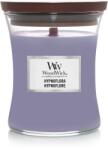 WoodWick Hypnoflora 275 g