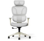 FlexiSpot BS5 ergonomikus irodai szék, szürke- hálós háttámla, állítható karfák és modern megjelenés (BS5WG)