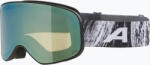 Alpina Скиорски очила Alpina Slope Q-Lite black/blue matt/blue