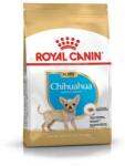 Royal Canin BHN CHIHUAHUA PUPPY 500g - száraztáp chihuahua kölykök számára (3182550722537)