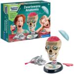  Tudományos, Szórakoztató, Őrült Anatómiai Készlet Lengyel Nyelvvel, Clementoni 50697 28537